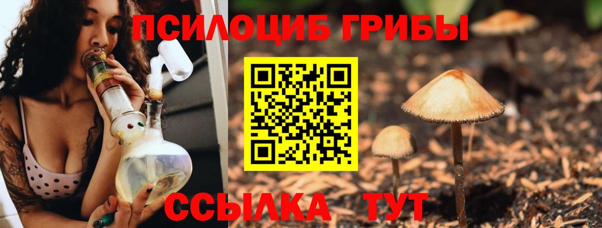Галлюциногенные грибы GOLDEN TEACHER Можайск
